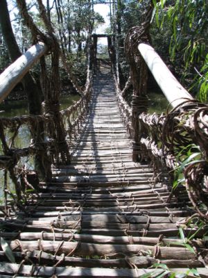 sel_0084.jpg (300x400..54.8kb) up